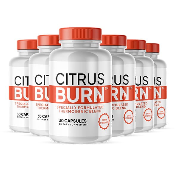How Does CitrusBurn works ?